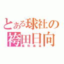 とある球社の袴田日向（蘿莉最高）