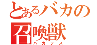 とあるバカの召喚獣（バカテス）