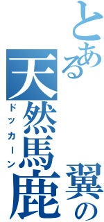 とある   翼の天然馬鹿（ドッカーン）