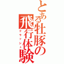 とある牡豚の飛行体験（クラッシュ）