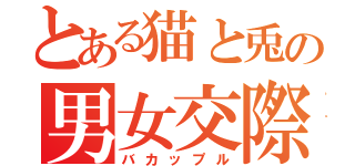 とある猫と兎の男女交際（バカップル）