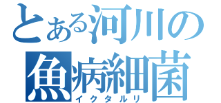 とある河川の魚病細菌（イクタルリ）