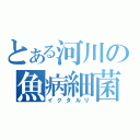 とある河川の魚病細菌（イクタルリ）