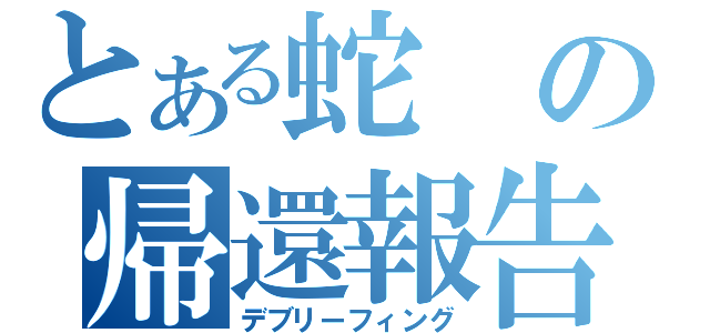 とある蛇の帰還報告（デブリーフィング）