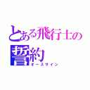 とある飛行士の誓約（オースサイン）