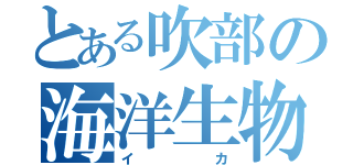 とある吹部の海洋生物（イカ）