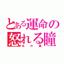 とある運命の怒れる瞳（光の翼）