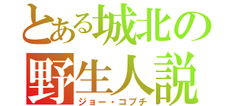 とある城北の野生人説（ジョー・コブチ）