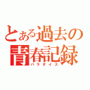 とある過去の青春記録（パラダイス）