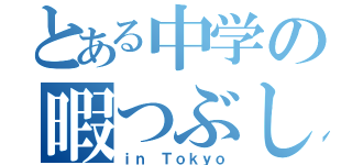 とある中学の暇つぶし（ｉｎ Ｔｏｋｙｏ）