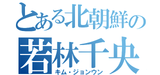 とある北朝鮮の若林千央（キム・ジョンウン）