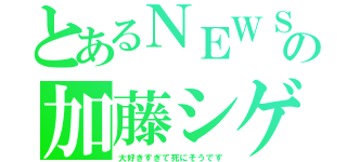 とあるＮＥＷＳの加藤シゲアキ（大好きすぎて死にそうです）