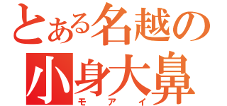 とある名越の小身大鼻（モアイ）