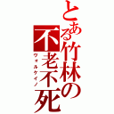 とある竹林の不老不死（ヴォルケイノ）