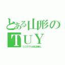 とある山形のＴＵＹ（ゴゴスマは放送無し）