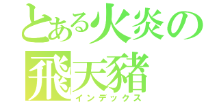 とある火炎の飛天豬（インデックス）