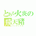 とある火炎の飛天豬（インデックス）