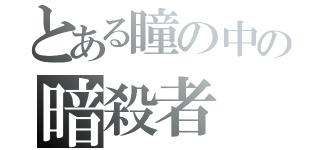 とある瞳の中の暗殺者（）