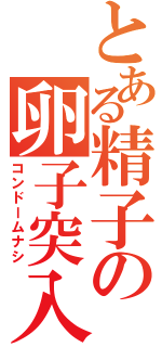 とある精子の卵子突入（コンドームナシ）