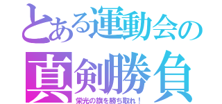 とある運動会の真剣勝負（栄光の旗を勝ち取れ！）