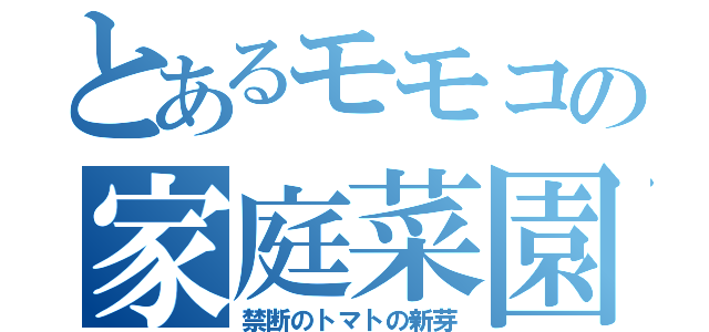 とあるモモコの家庭菜園（禁断のトマトの新芽）