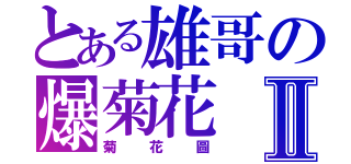 とある雄哥の爆菊花Ⅱ（菊花圖）