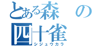 とある森の四十雀（シジュウカラ）