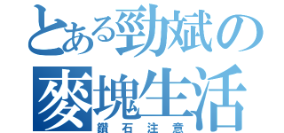 とある勁斌の麥塊生活（鑽石注意）