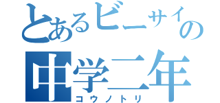 とあるビーサイの中学二年（コウノトリ）