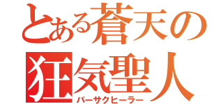 とある蒼天の狂気聖人（バーサクヒーラー）