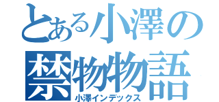 とある小澤の禁物物語（小澤インデックス）