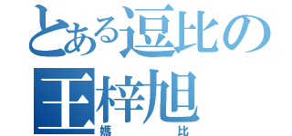 とある逗比の王梓旭（媽比）