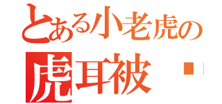 とある小老虎の虎耳被扯開了ＱＡＱ（）