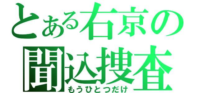 とある右京の聞込捜査（もうひとつだけ）