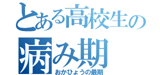 とある高校生の病み期（おかひょうの最期）