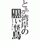 とある湾岸の黒い怪鳥（ブラックバード）