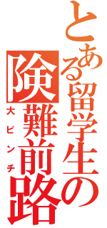 とある留学生の険難前路（大ピンチ）