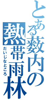 とある薮内の熱帯雨林（だいじなところ）