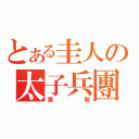 とある圭人の太子兵團（蒲制）