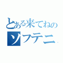 とある来てねのソフテニ（）