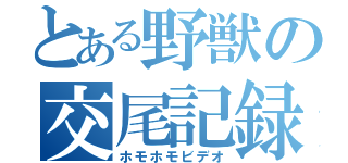 とある野獣の交尾記録（ホモホモビデオ）