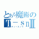 とある魔術のＴ－ｓｎｏｗⅡ（ティースノウ）