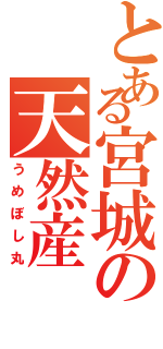 とある宮城の天然産（うめぼし丸）