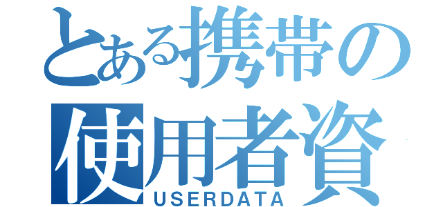 とある携帯の使用者資料（ＵＳＥＲＤＡＴＡ）