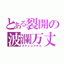 とある裂開の波瀾万丈（タケシ☆アキコ）