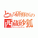 とある研修医の西蔵砂狐（チベットスナギツネ）