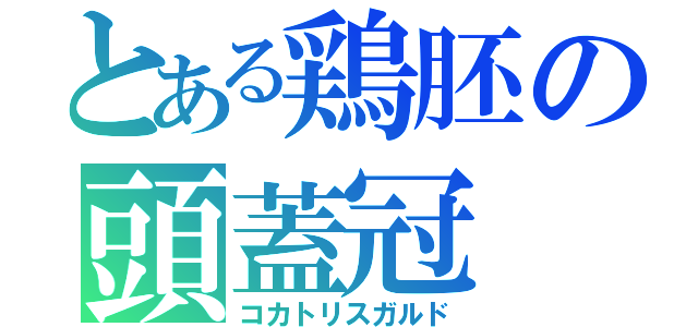 とある鶏胚の頭蓋冠（コカトリスガルド）