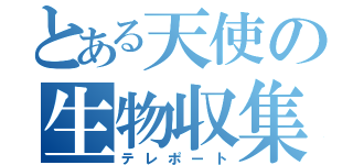 とある天使の生物収集（テレポート）