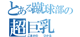 とある蹴球部の超巨乳（ごまがの  ひかる）