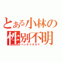 とある小林の性別不明（ヘンタイオカマ）